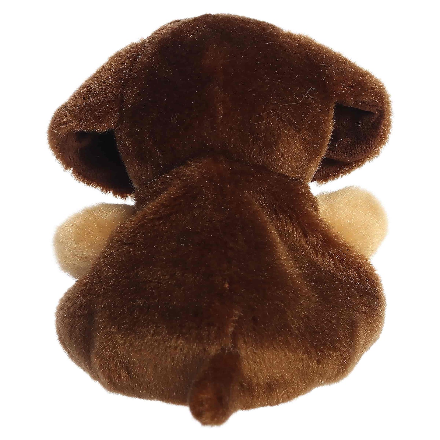 Palm Pals Houdini Dachshund