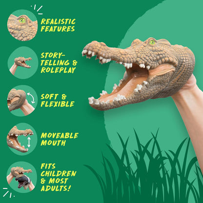 Graphic with details about crocodile puppet