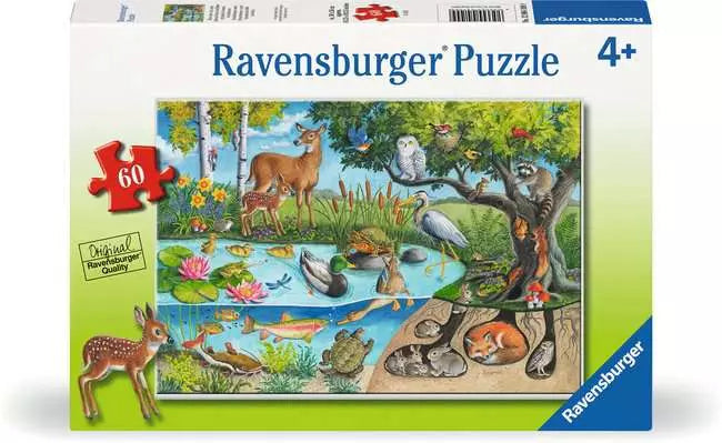 RB Animals Above and Below 60pc (8366107230407)