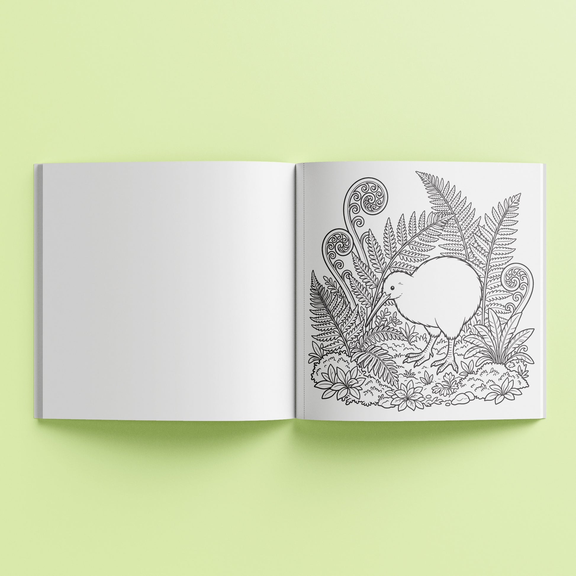 Kiwiana Colouring Book