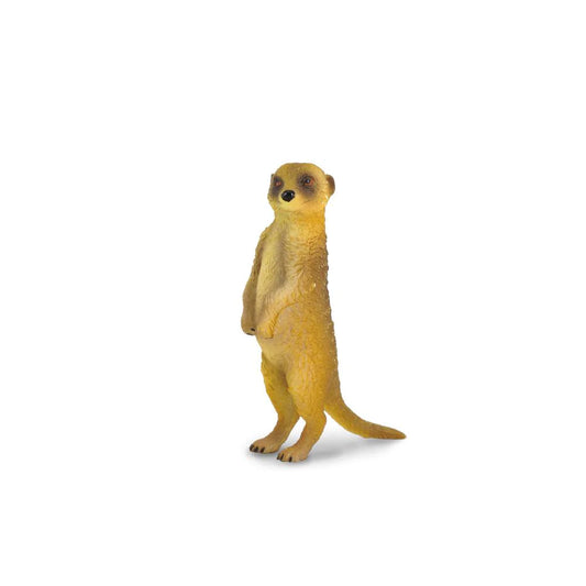 CO Meerkat Standing (S) (6222625177799)