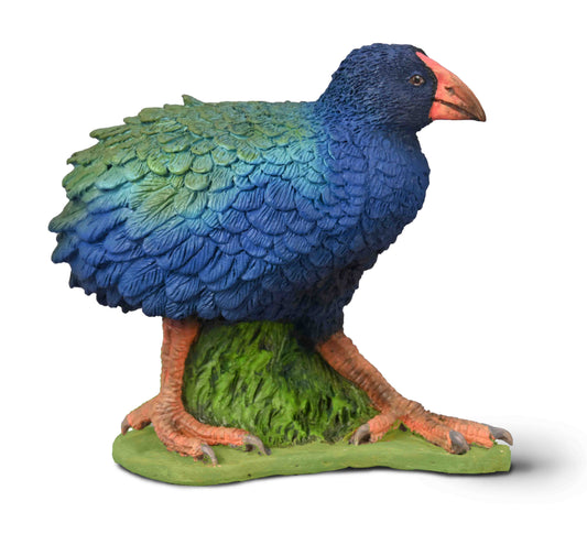 CO Takahe (M) (8312372199623)