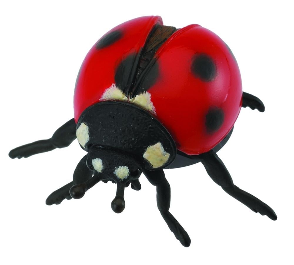 CO Ladybird (M) (7615124701383)