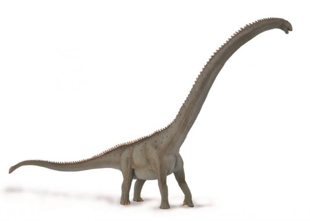 CO Mamenchisaurus DLX (6696940110023)