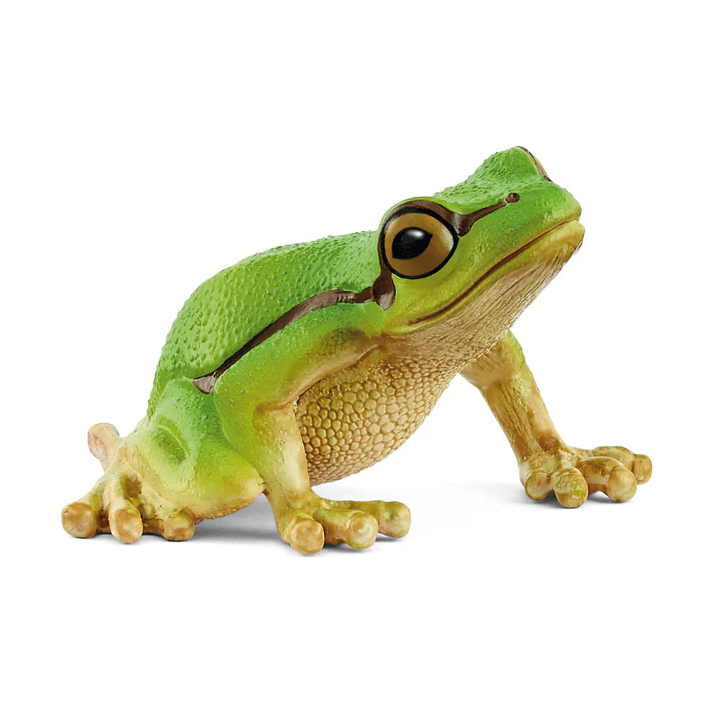 SC European Tree Frog (Green Dot) (8344753438919)