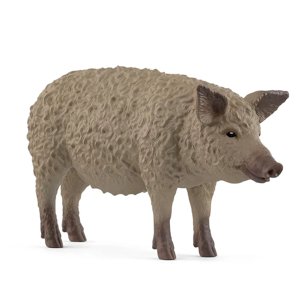 SC Mangalica (Red Dot) (8344753340615)