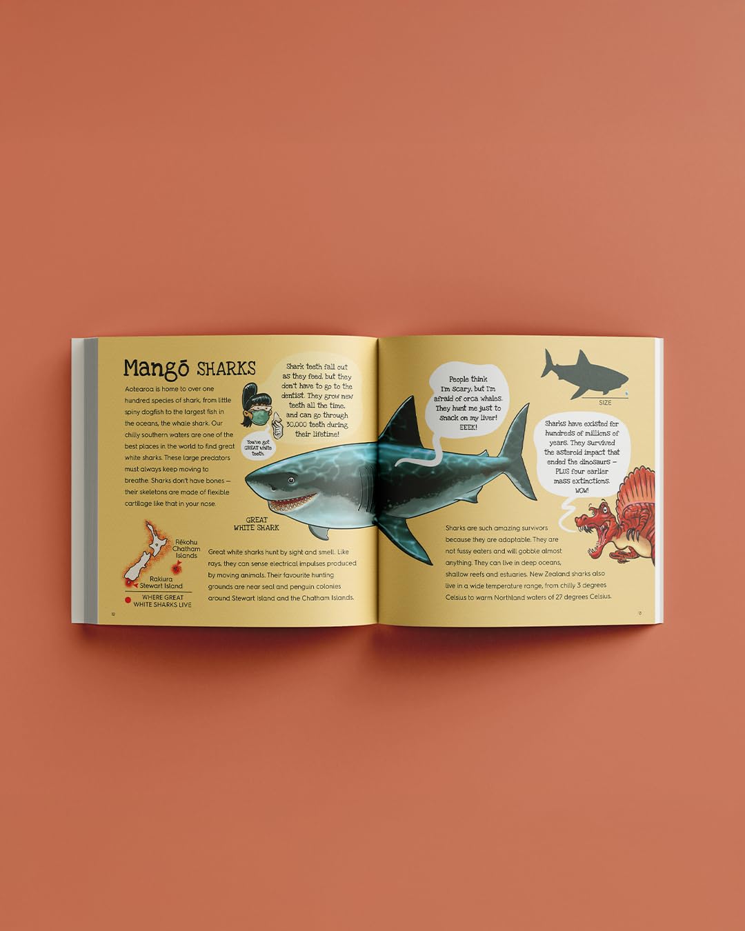 Splash (8474528972999)