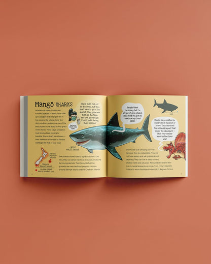 Splash (8474528972999)