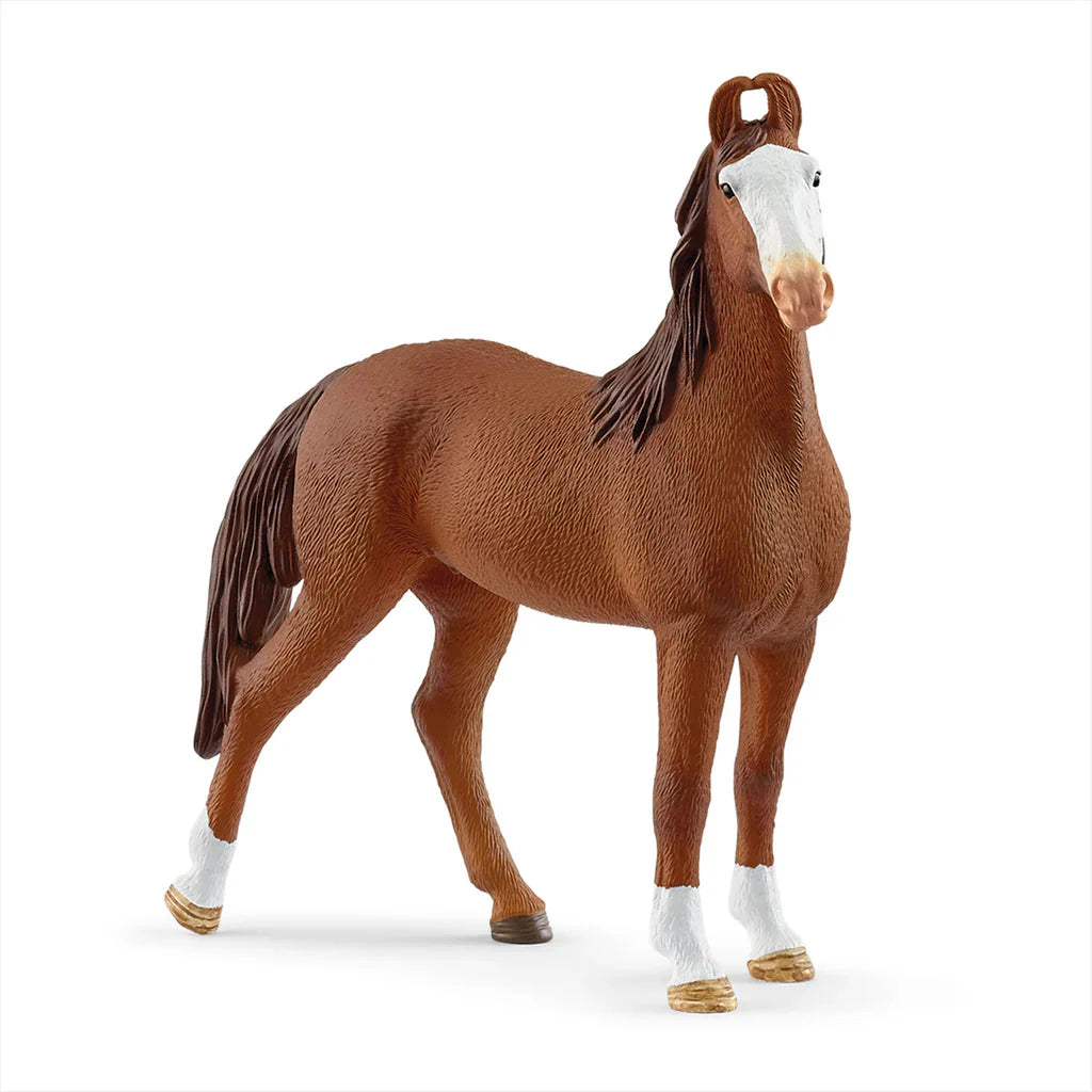SC Marwari Mare (Grey Dot) (8344753307847)