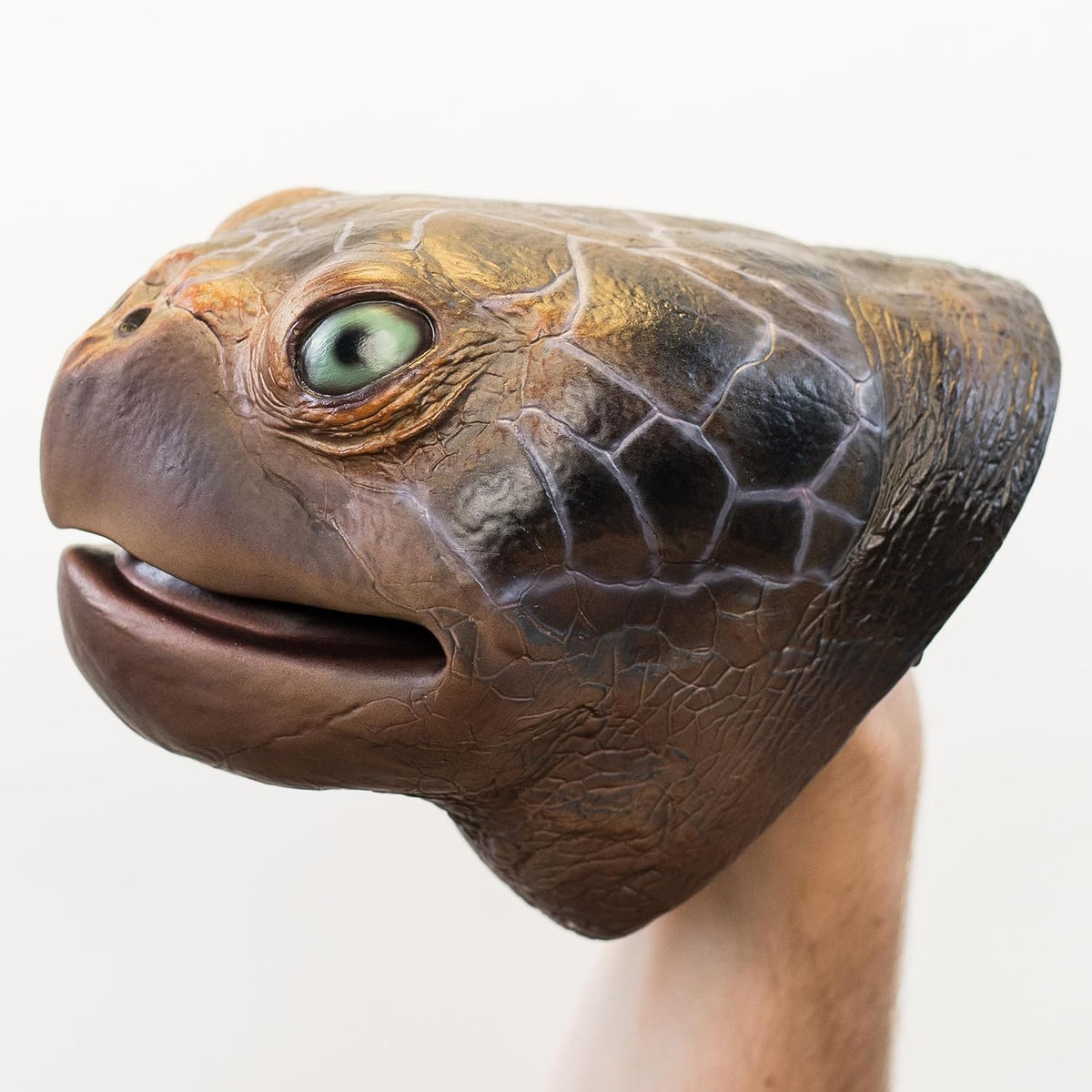 A realistic turtle sculptural head with a textured brown and black shell pattern, a green eye, and an open mouth, shown against a plain light background.