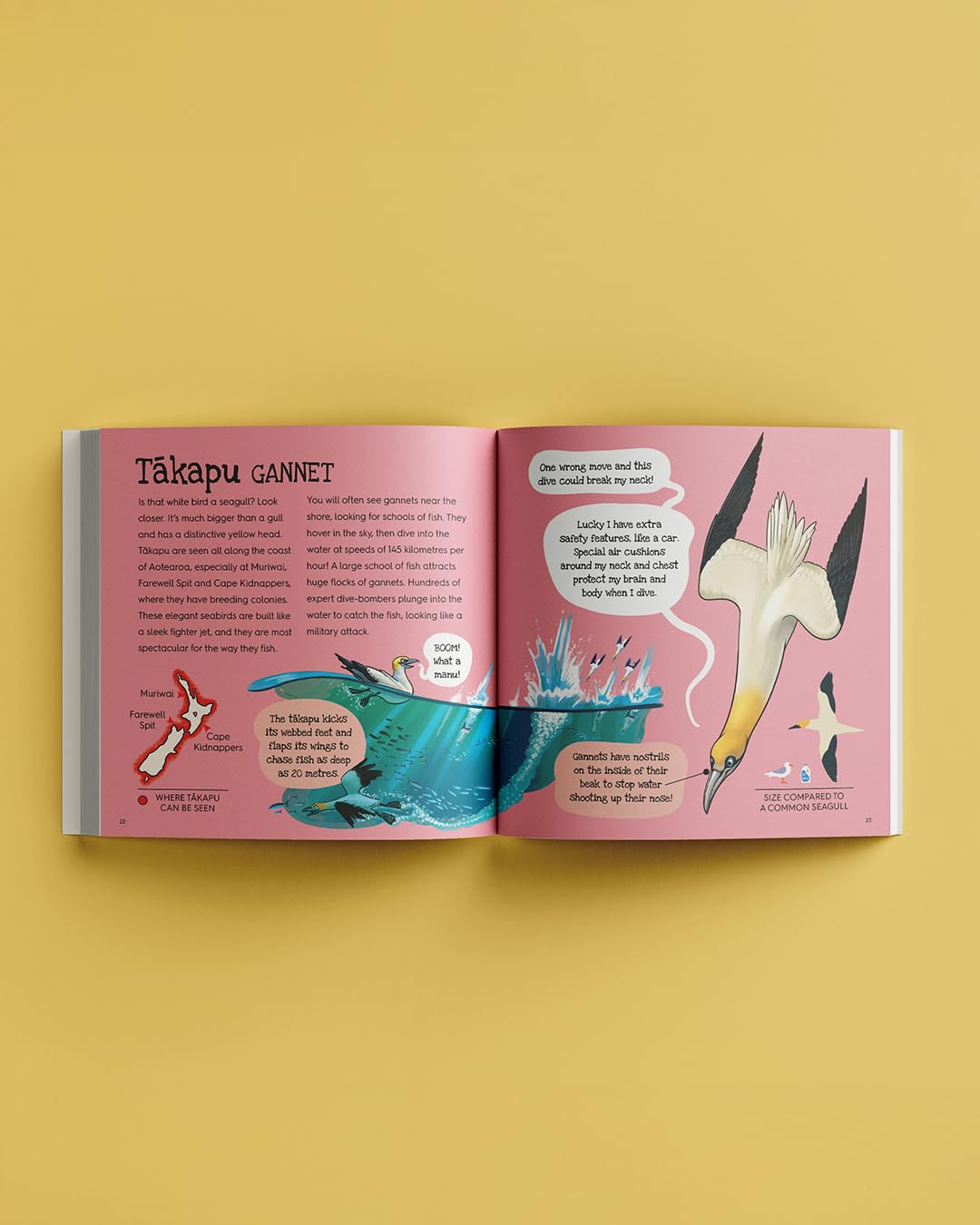 Splash (8474528972999)