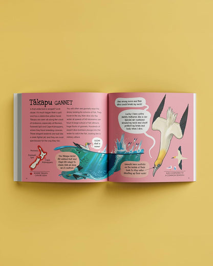 Splash (8474528972999)