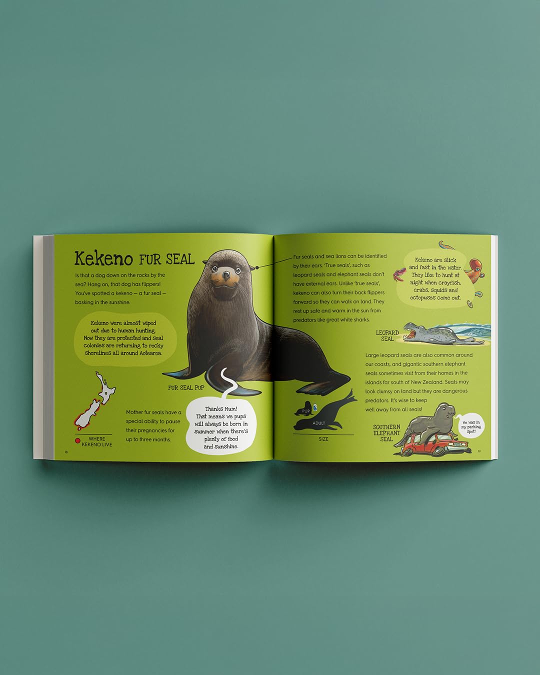 Splash (8474528972999)