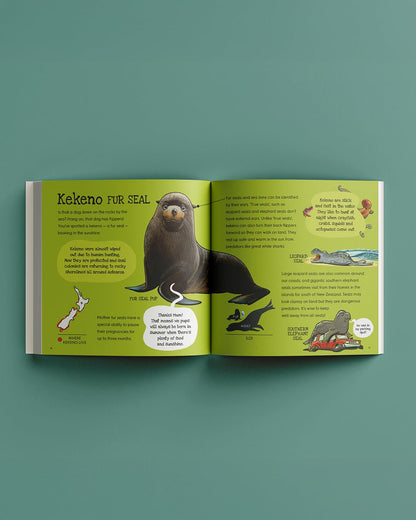 Splash (8474528972999)