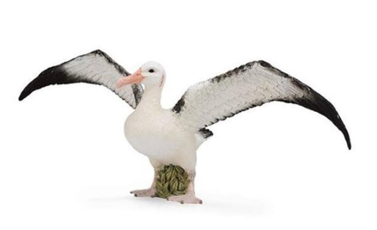 CO Wandering Albatross (L) (7615131549895)