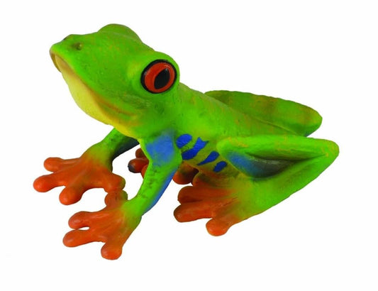 CO Red-Eyed Tree Frog (M) (7615124668615)