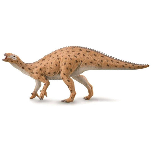 CO Fukuisaurus (M) (7710637883591)