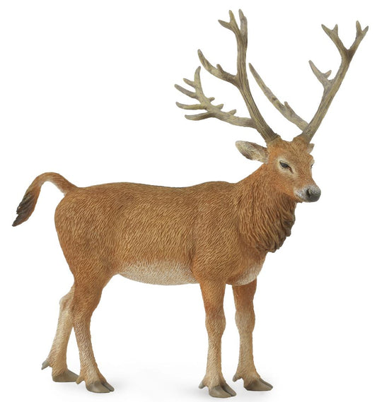 CO Pere Davids Deer (L) (7718943424711)