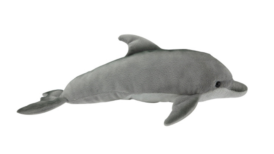 Dolphin Bottlenose Sound (8213859991751)