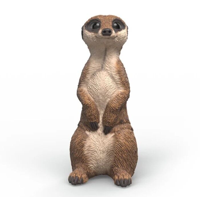 SC Meerkat (Green Dot)