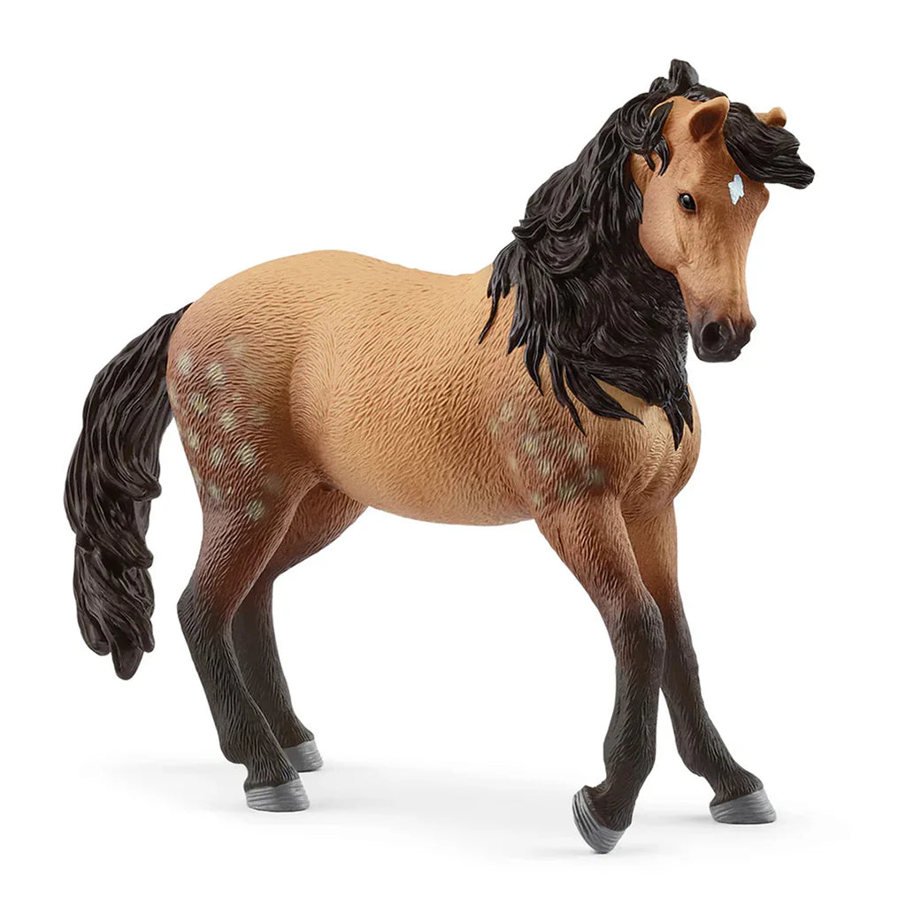 SC Andalusian Mare 2025 (Grey Dot) (8344749932743)
