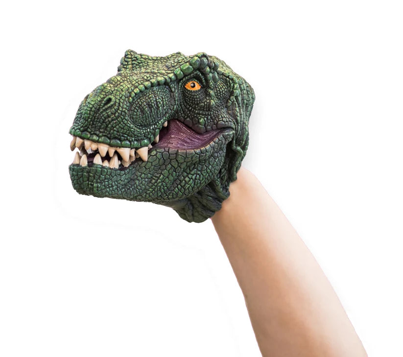 Dinosaur hand puppet held by a person on a white background