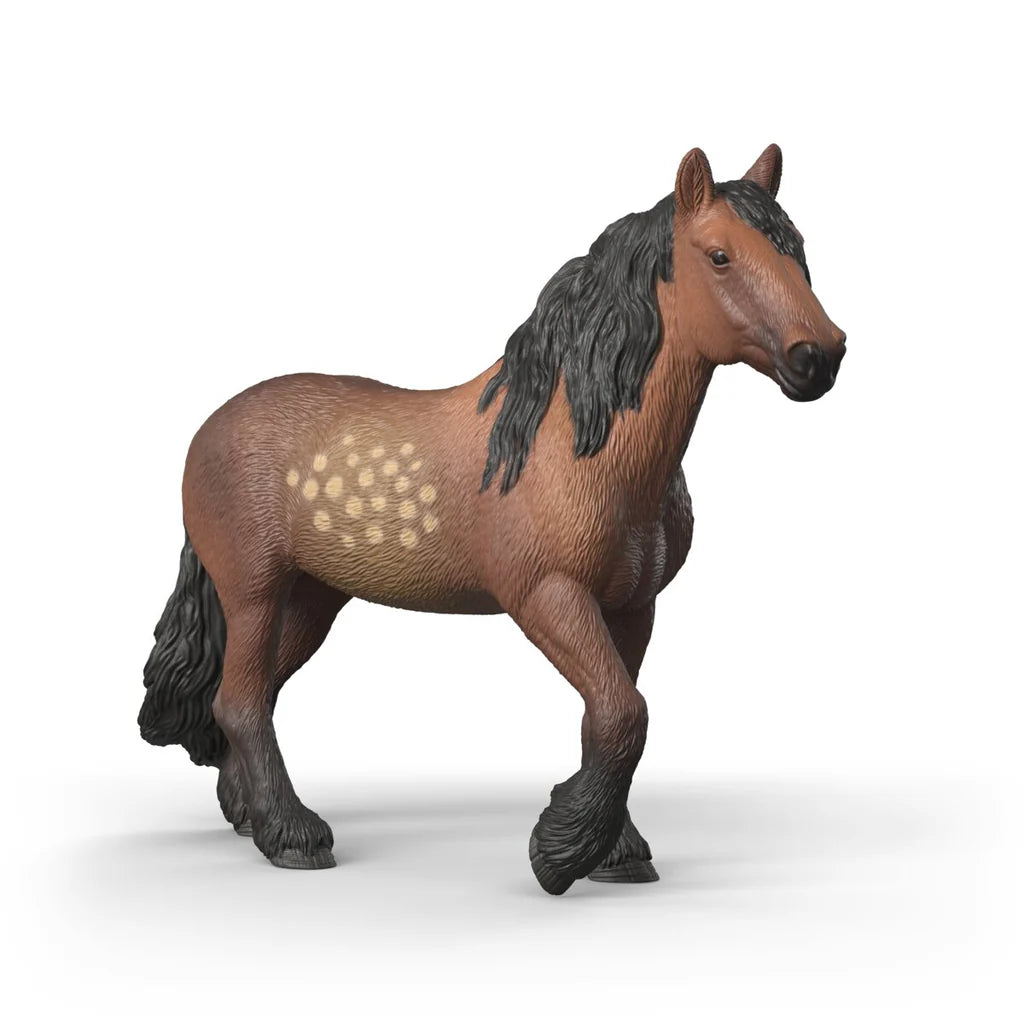 SC North Swedish Cold Blooded Mare (Brown Dot)