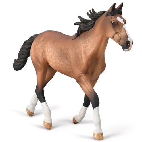 CO Standard Pacer Stallion Bay (XL) (8162219884743)