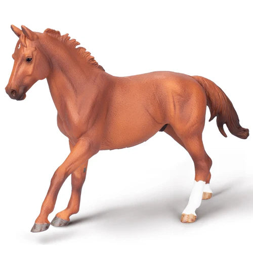 CO Phar Lap Stallion (XL) (8162212511943)