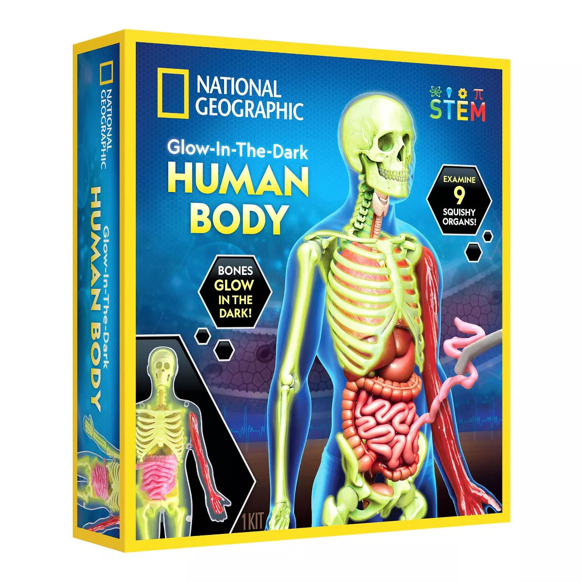 NG Human Body Science Kit (8250203766983)