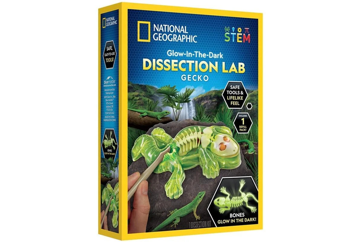 NG Gecko Dissection Lab (8250203734215)