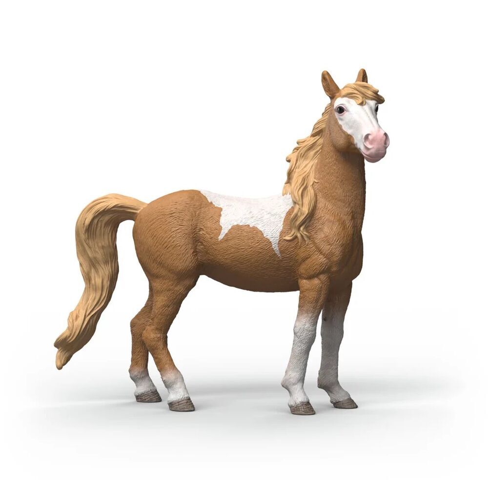 SC Mustang Mare (Brown Dot)