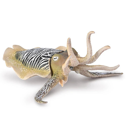 CO Common Cuttlefish (XL) (8162206122183)