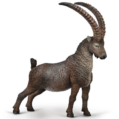 CO Alpine Ibex (L) (8162205991111)