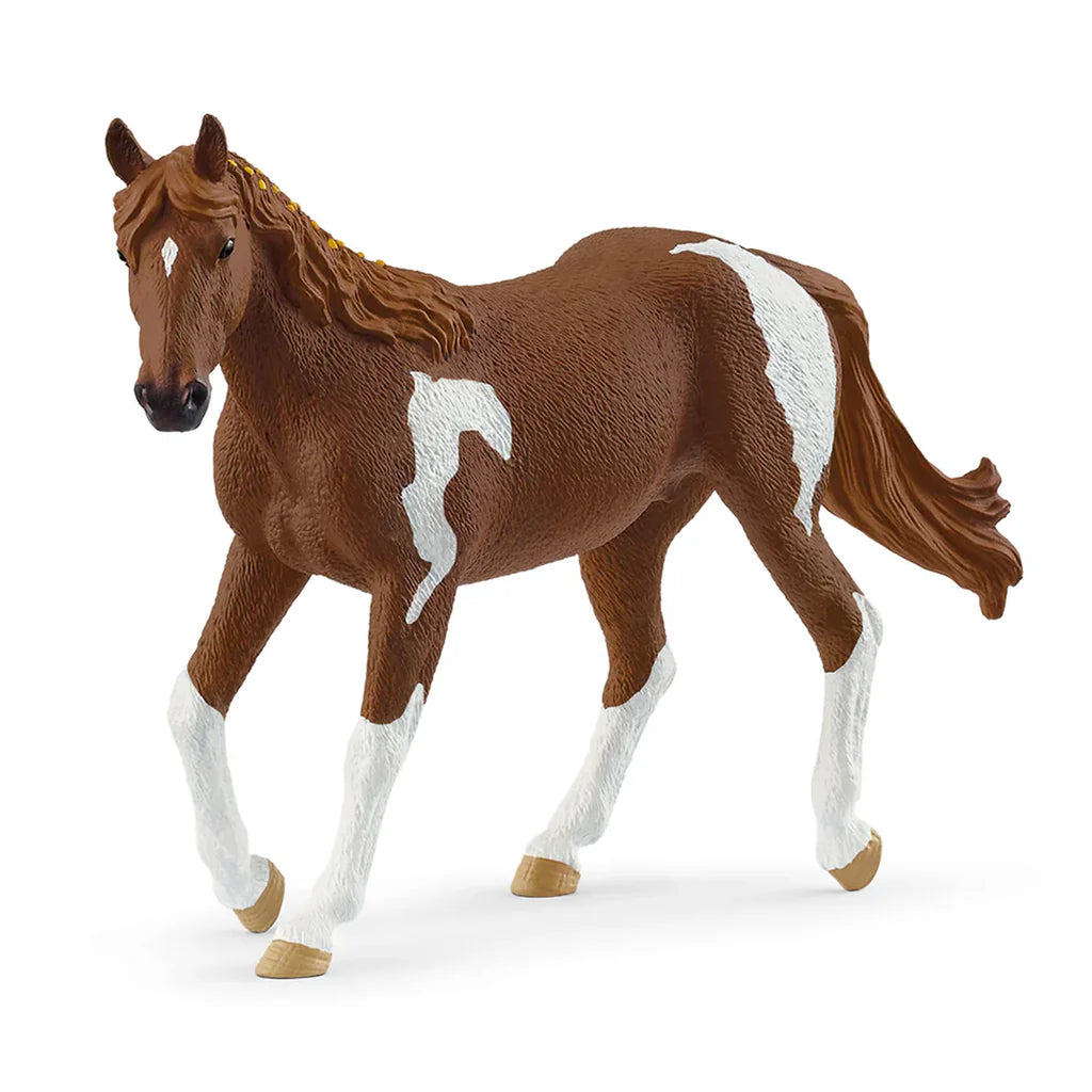 SC Paint Horse Mare 2025 (Grey Dot) (8355386458311)