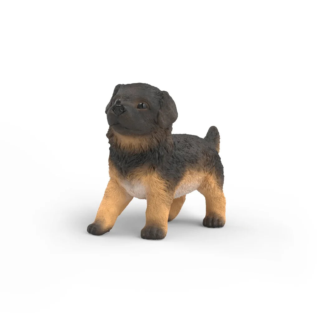 SC German Shepherd Puppy (Green Dot)