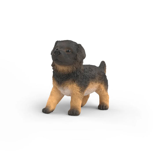 SC German Shepherd Puppy (Green Dot)