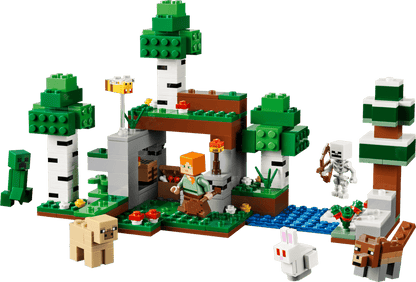 Lego MC First Night Adventure 21593