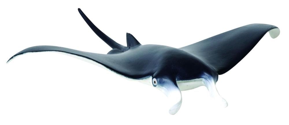 CO Manta Ray (7615124570311)