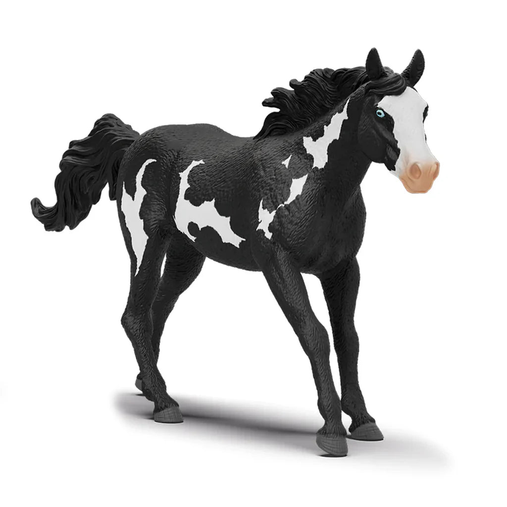 SC Paint Horse Gelding 2025 (Grey Dot) (8355386425543)