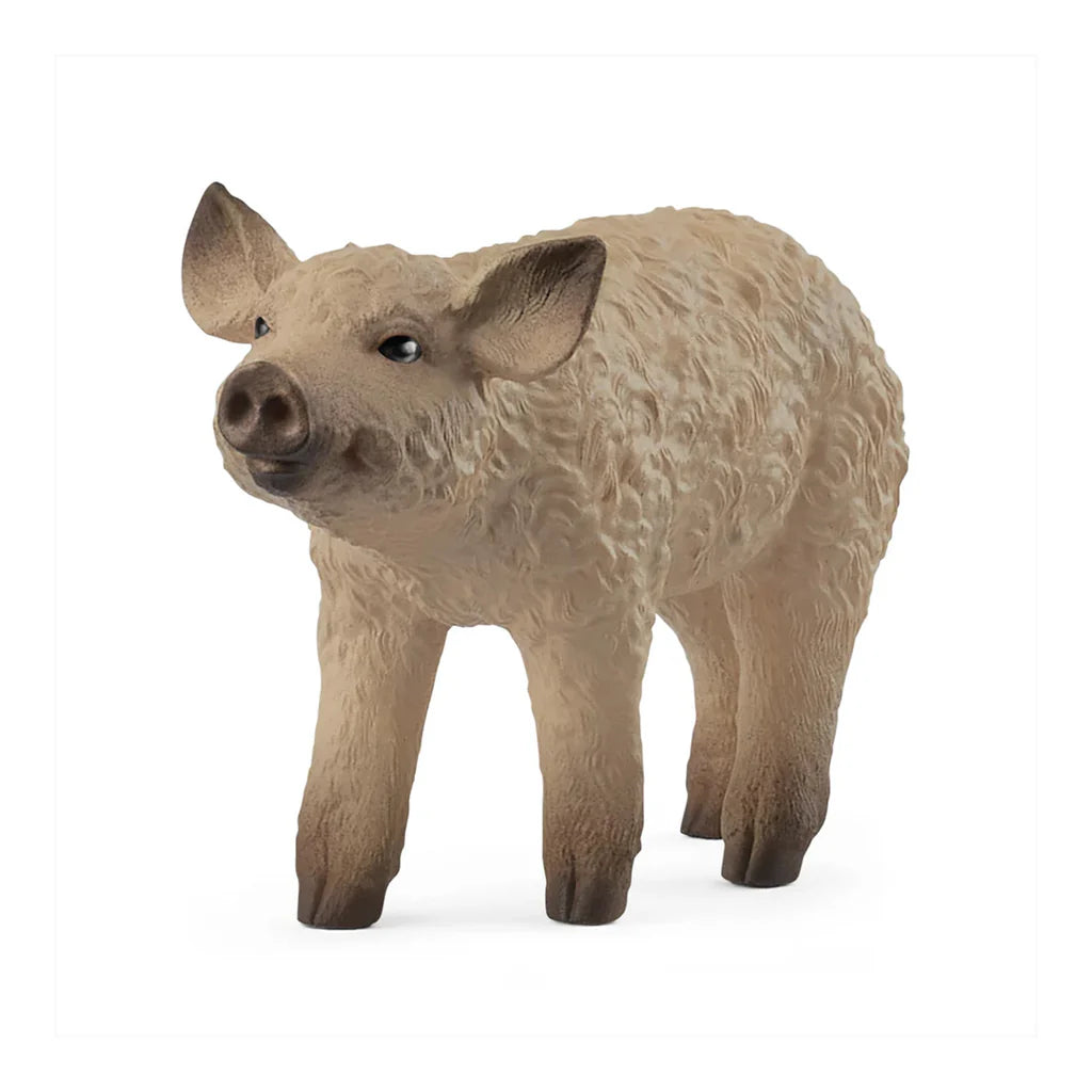 SC Mangalica Piglet (Green Dot) (8355386360007)