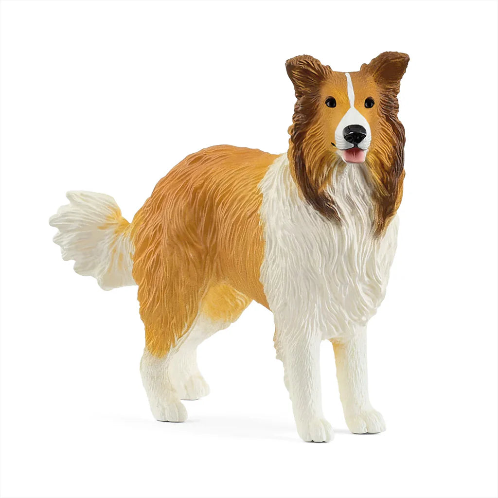 SC Collie (Yellow Dot) (8355382657223)