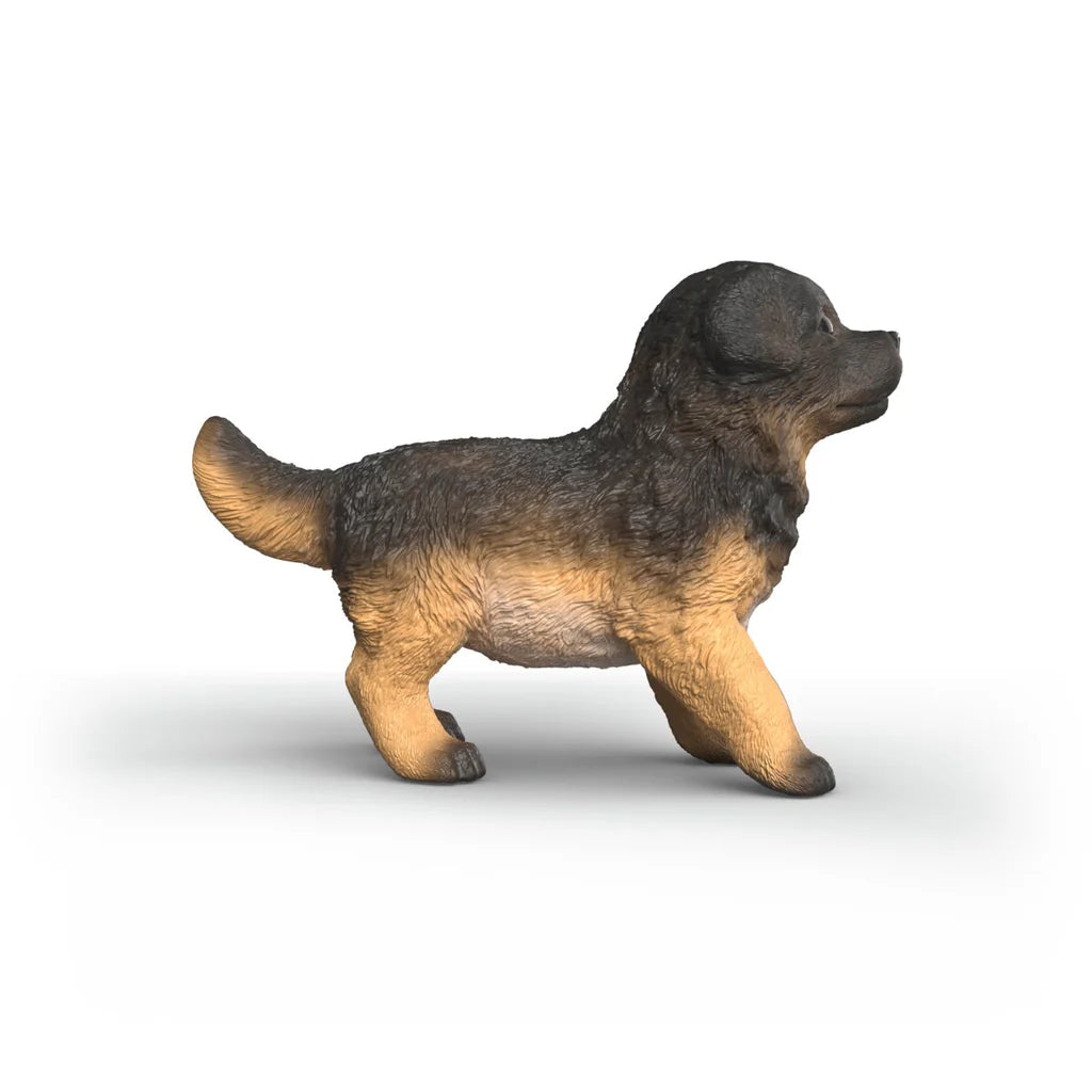 SC German Shepherd Puppy (Green Dot)