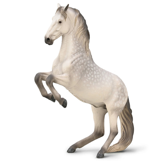 CO Lipizzanner Stallion Dapple Grey (XL)