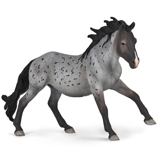 CO Nokota Stallion Blue Roan (XL)