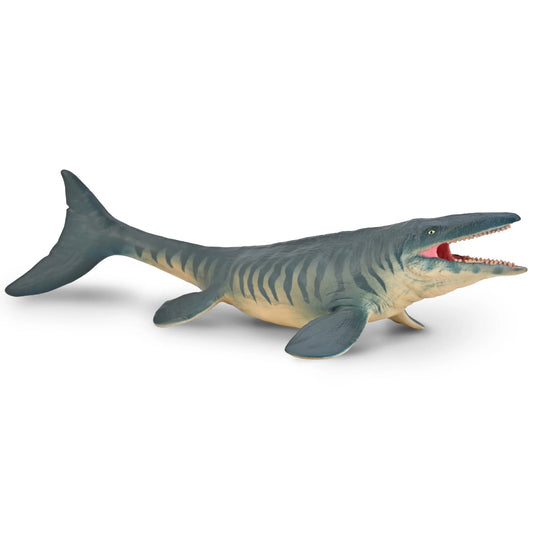 CO Tylosaurus (L)