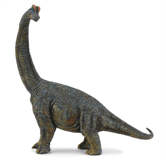 CO Brachiosaurus 1:40 (6096526966983)