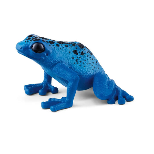 SC Blue Poison Dart Frog (7655337033927)