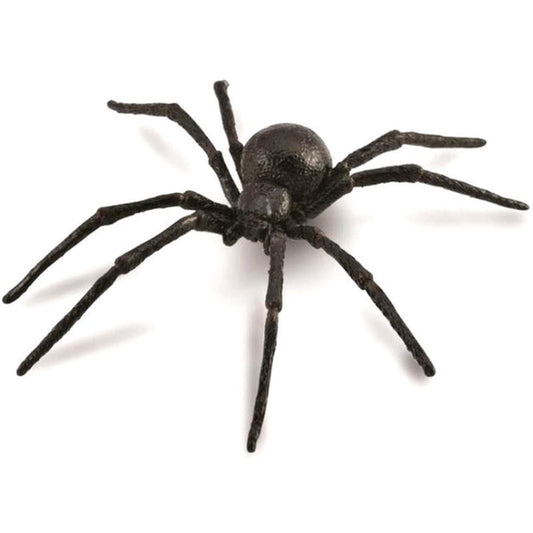 CO Black Widow Spider (L) (7615137284295)