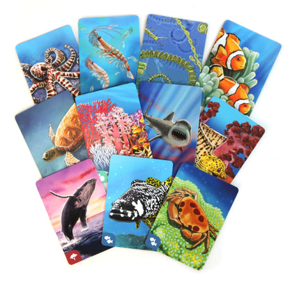 Ecosystem: Coral Reef cards (8057327517895)